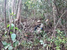 2025-01-26 PURO AIRSOFT RAVEN